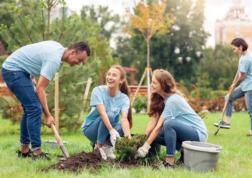 Volunteering generic Volunteering generic